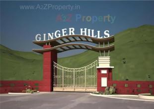 Elevation of real estate project Ginger Hills located at Kharade, Thane, Maharashtra