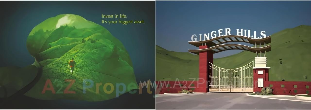 3D Elevation of real estate project Ginger Hills located at Kharade, Thane, Maharashtra