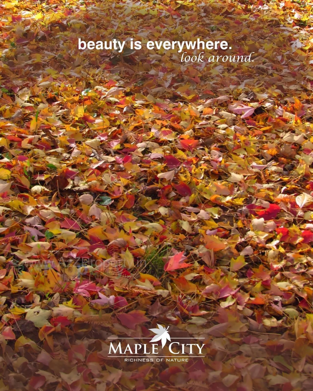  of real estate project Maple City located at Badlapur-m-cl, Thane, Maharashtra