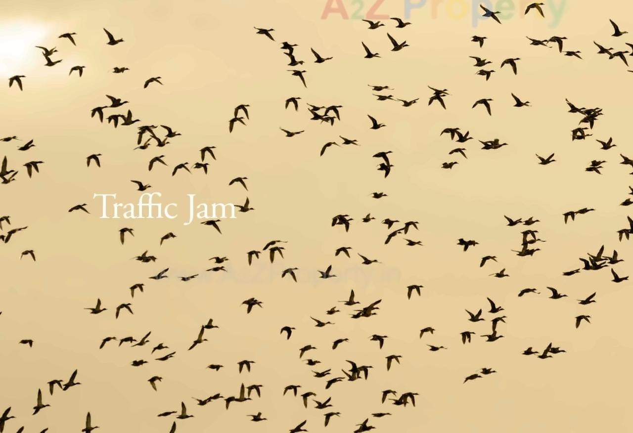  of real estate project Neptune Triveni Sangam located at Kalyandombivali-m-corp, Thane, Maharashtra