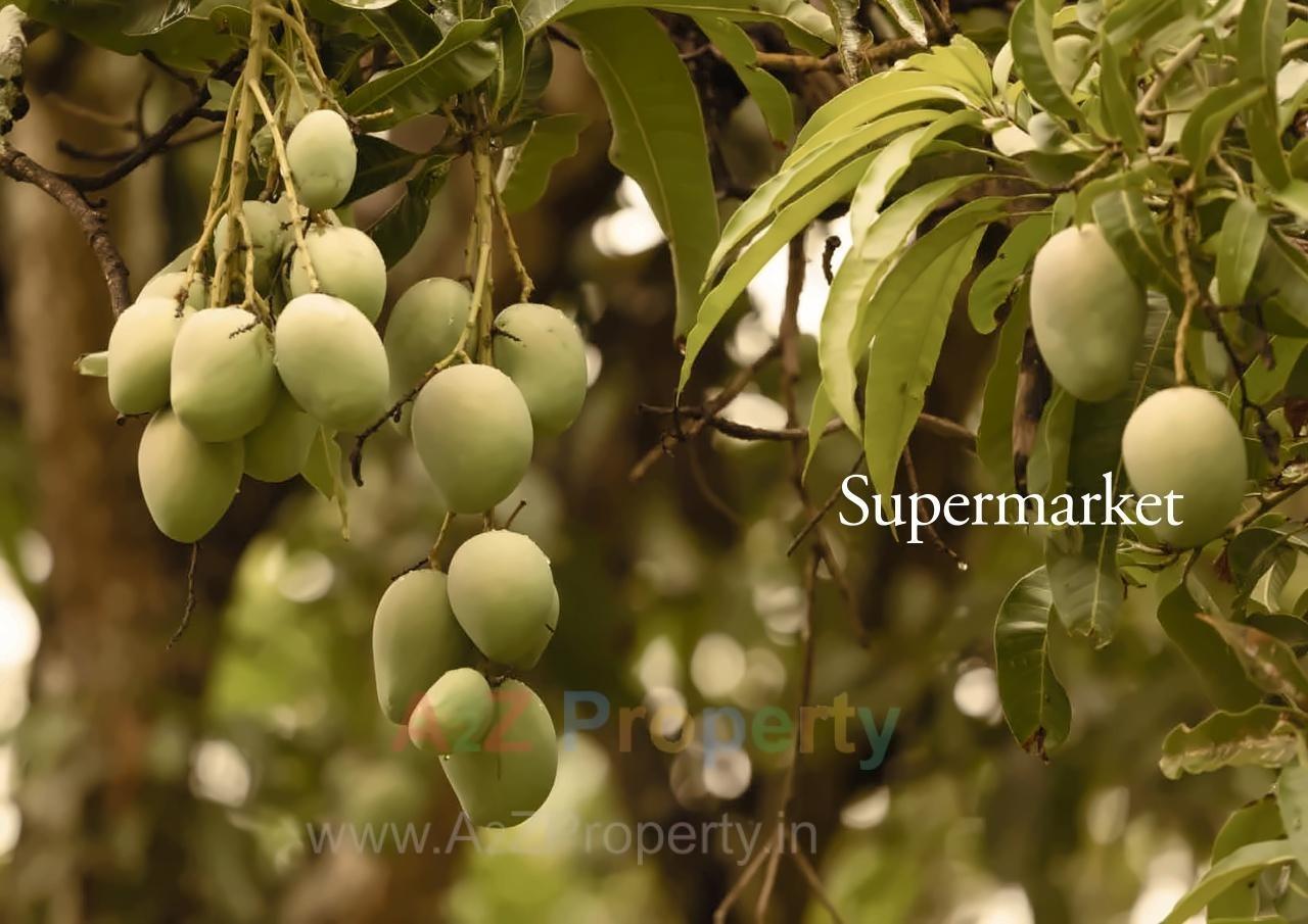  of real estate project Neptune Triveni Sangam located at Kalyandombivali-m-corp, Thane, Maharashtra