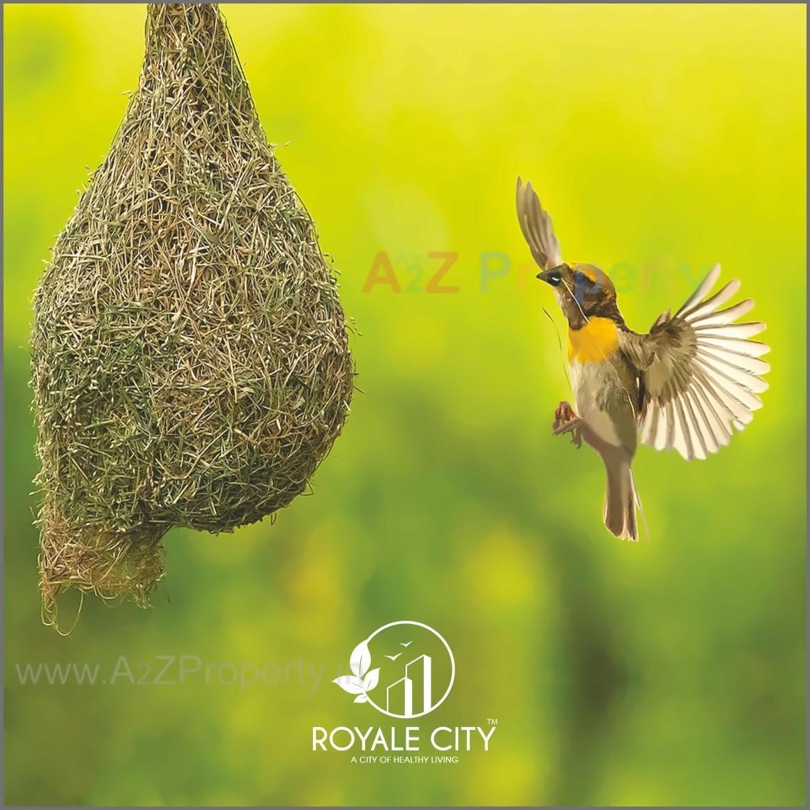  of real estate project Orchid located at Kalambhe, Thane, Maharashtra