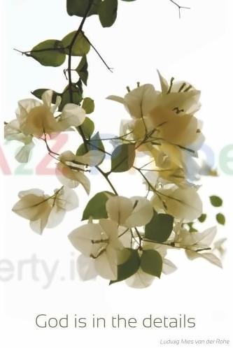  of real estate project Signature Residency located at Thane-m-corp, Thane, Maharashtra